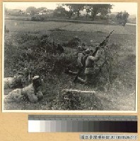 藏品(東戰場之機動砲兵團)的圖片